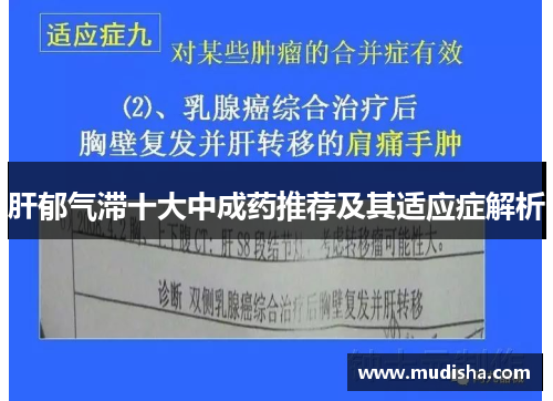 肝郁气滞十大中成药推荐及其适应症解析